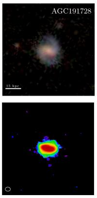 Stellar vs. Molecular Hydrogen in a Gas-Rich Galaxy