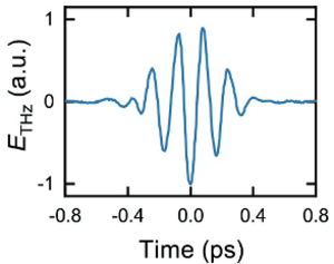 Fig. 3