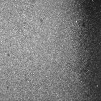 Tiny 'Hairy' Materials Grow at the Microscale