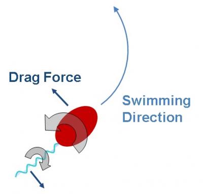 Bacterial Stroke