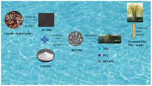 Ca(OH)2-modified Camellia oleifera shell biochar: preparation, characterization, and adsorption of NH4+ and PO43−