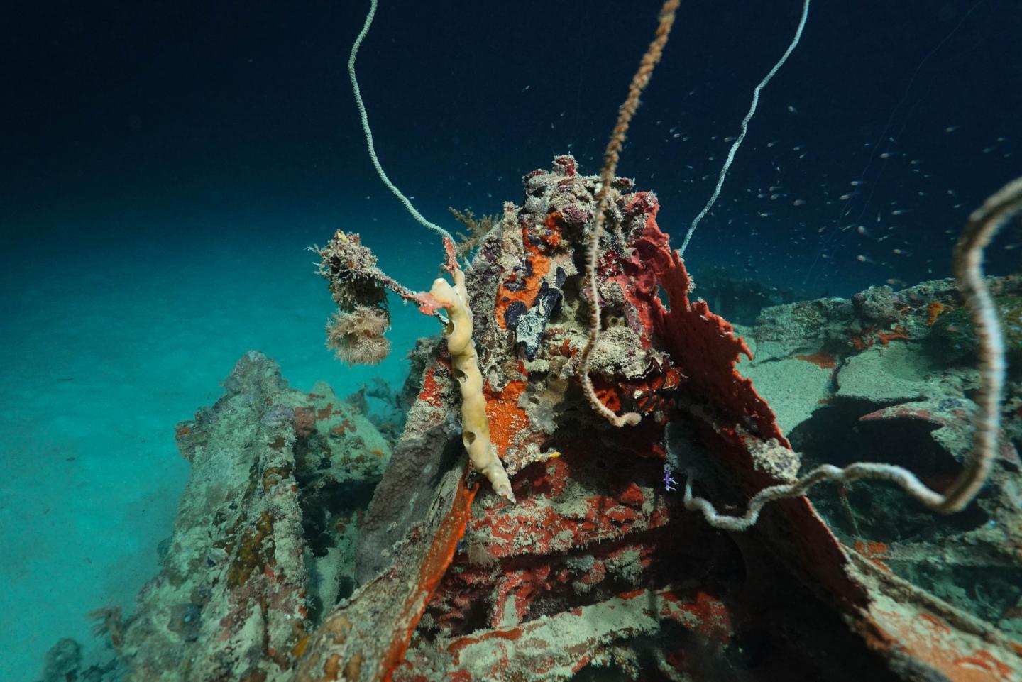 Lost World War II Aircraft Found