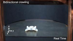Dancing bot