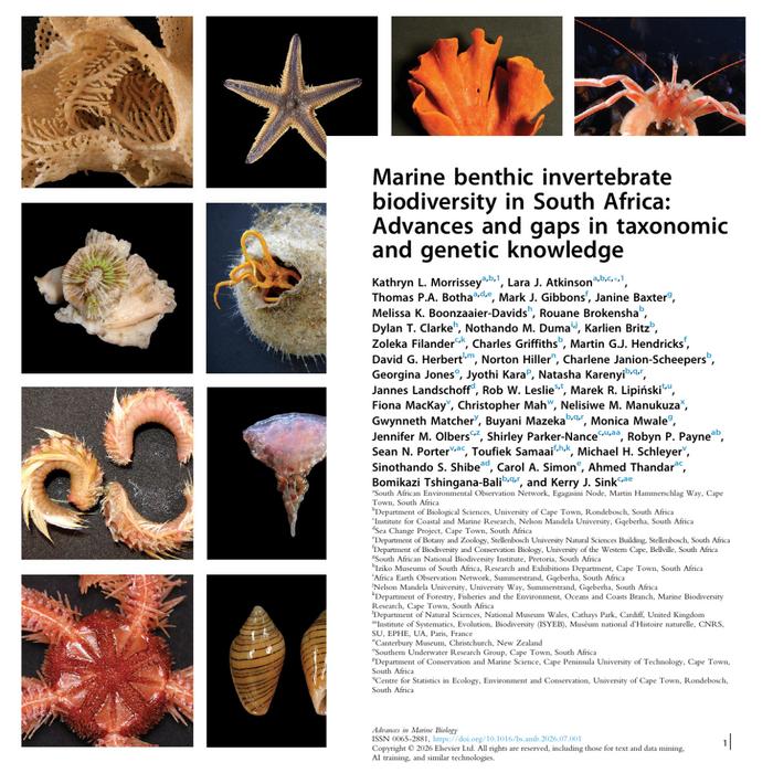 Update on marine benthic invertebrate biodiversity in South Africa