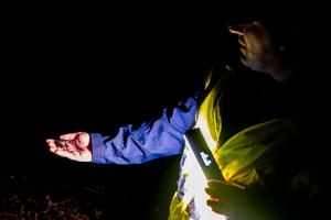UVM scientist with Salamander