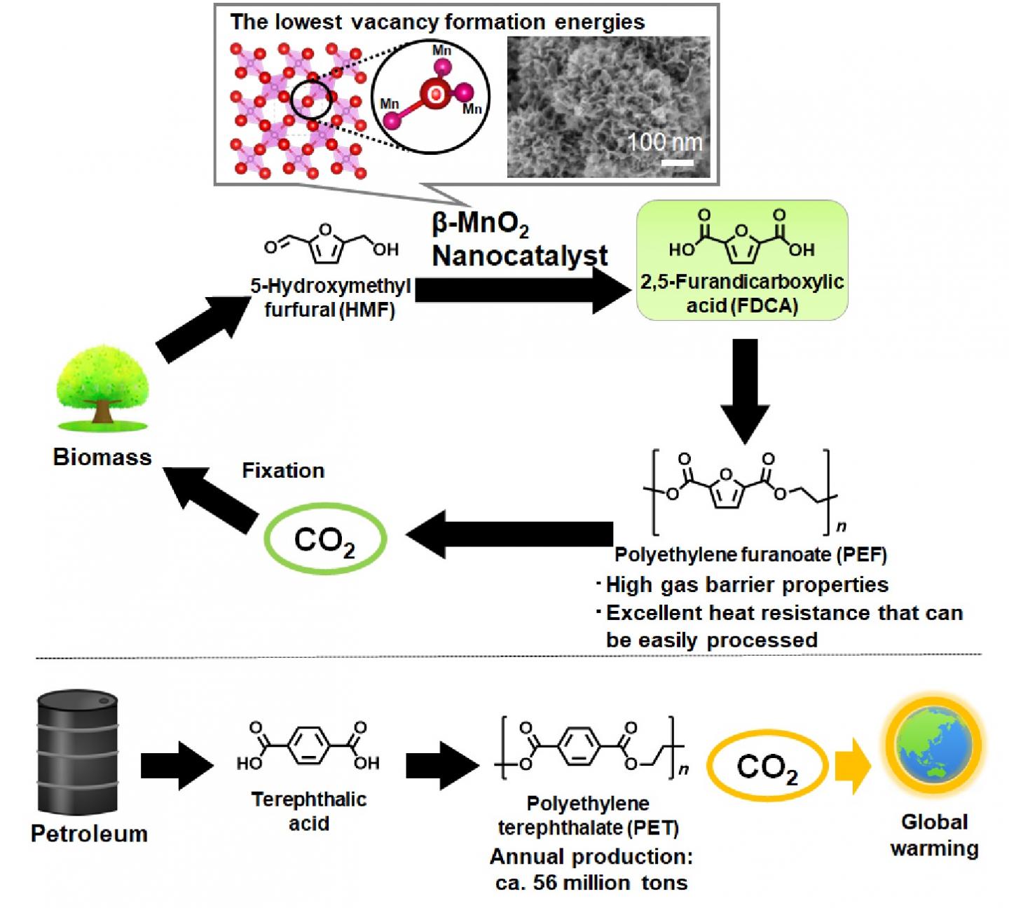 Figure 1.  Synthetic Routes to PEF from Biomass Resources and to PET from Fossil Resources