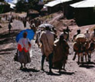 Why Nations Fail to Act (1 of 2)