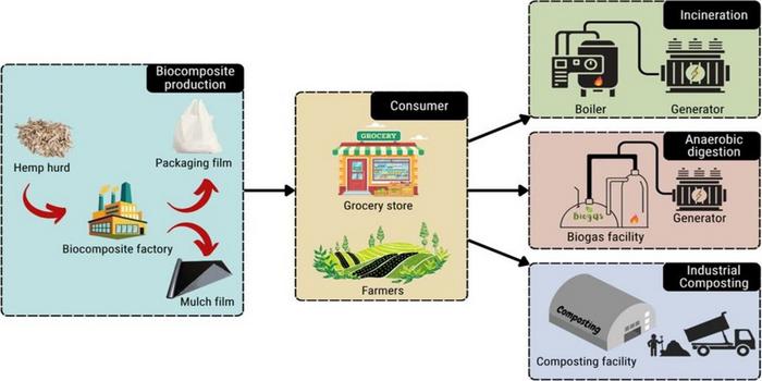 Hemp waste biocomposites offer a lower-carbon alternative for packaging and agricultural films