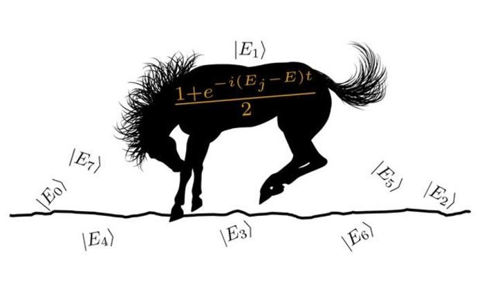 The Quantum Rodeo