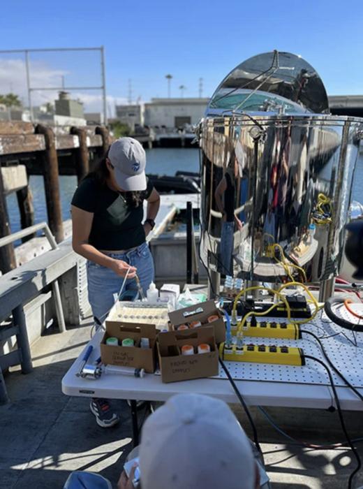 Ocean-inspired tech could speed up carbon capture from ships