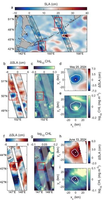 Two fine-scale eddy cases identified by SWOT altimetry observations.