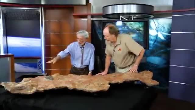 Dinosaur Age Meets the Space Age at NASA Goddard