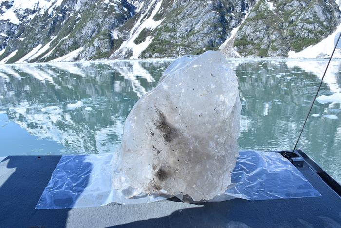Ice collected from Northwestern Glacier’s fjord