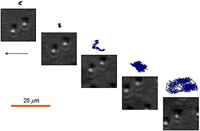 Videos Extract Mechanical Properties of Liquid-Gel Interfaces