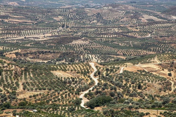 CARBON SEQUESTRATION
