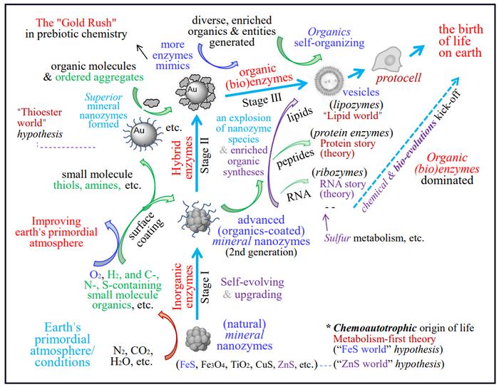 Fig. 3. Presumed chemical origin route and evolutionary family tree of MN-zymes in the OoL on Earth.