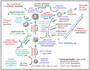 Fig. 3. Presumed chemical origin route and evolutionary family tree of MN-zymes in the OoL on Earth.