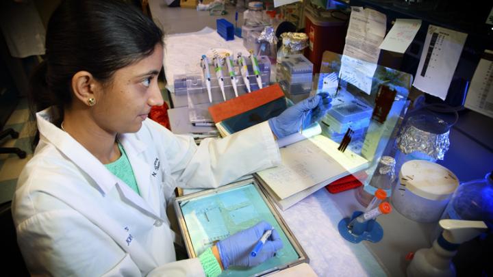 Researcher in Lab