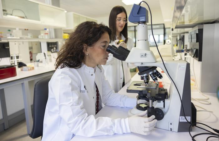 Maider Apodaka and Patricia Aspichueta working in the laboratory