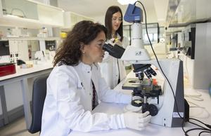 Maider Apodaka and Patricia Aspichueta working in the laboratory