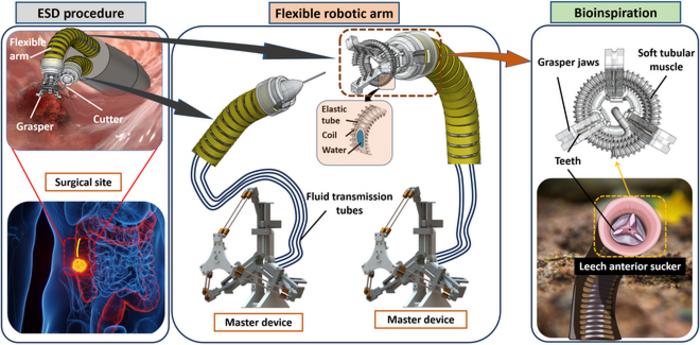 Overview of the soft endoscopic system.