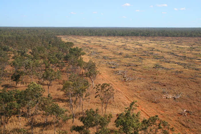 Aerial shot of deforestation in Daly River, Northern Territory in 2008.