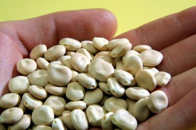 Eating Low-fat, Thanks to Lupin Proteins