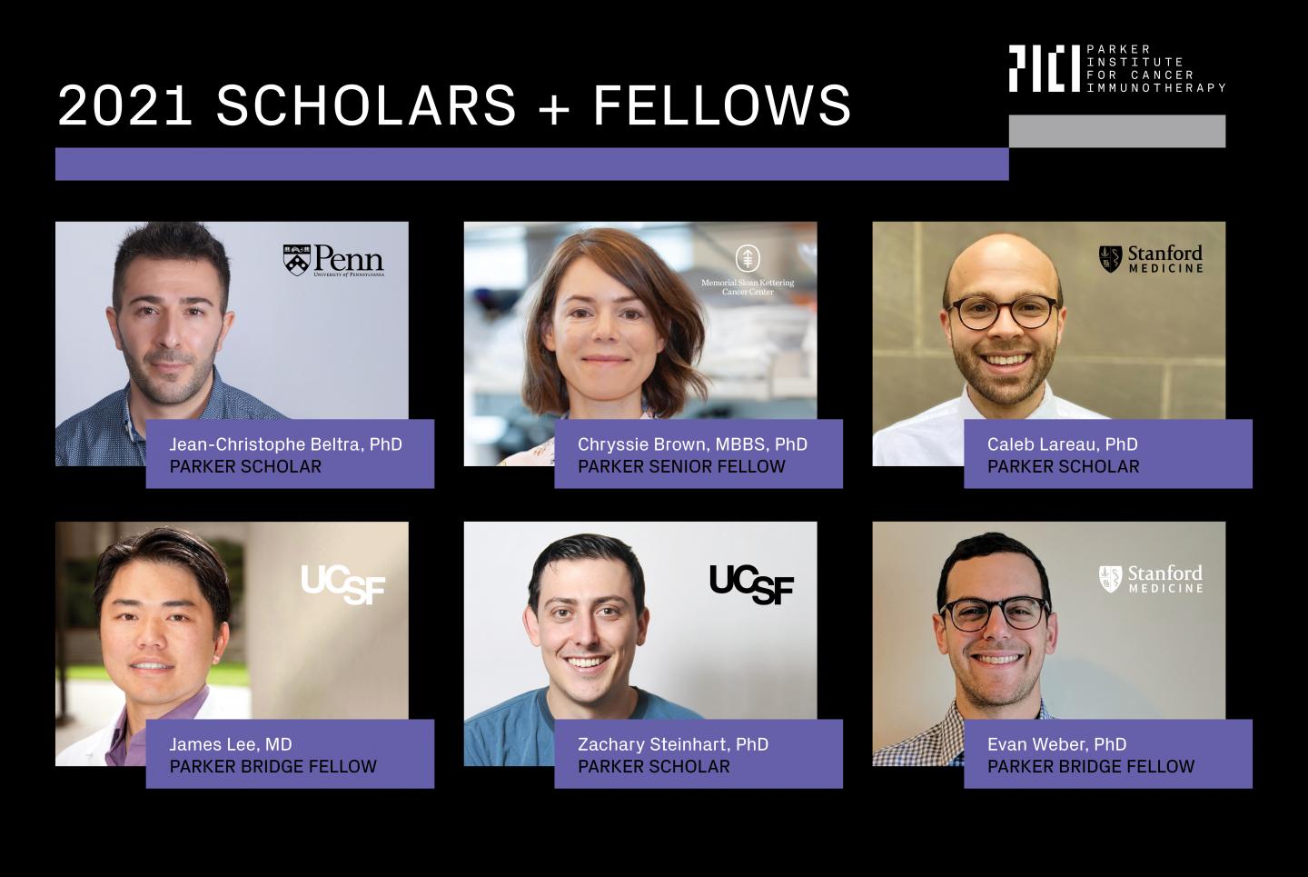 PICI Early Career Research Awardees