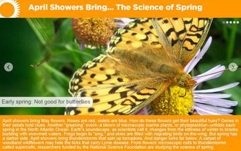 From Flowers' Microscopic Cells to Thunderstorms Called Supercells