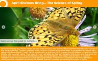 From Flowers' Microscopic Cells to Thunderstorms Called Supercells