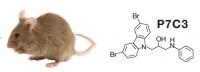 Mouse with P7C3 Chemical Structure