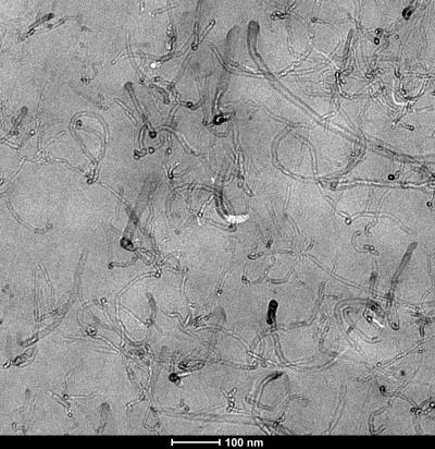 Nanotubes