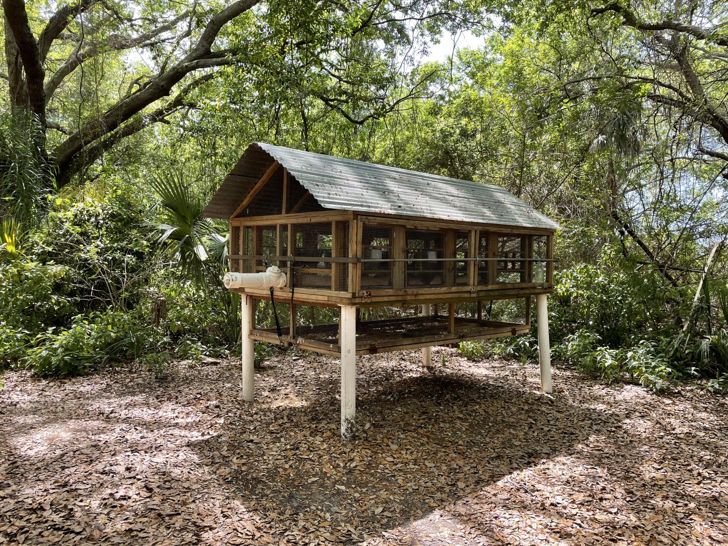 Chicken Coop