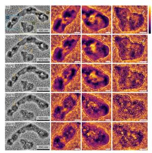 Microscope images from the operando TEM experiments