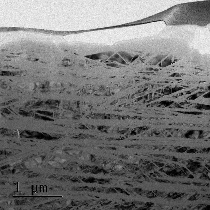 Glass lamellae in a quartz crystal