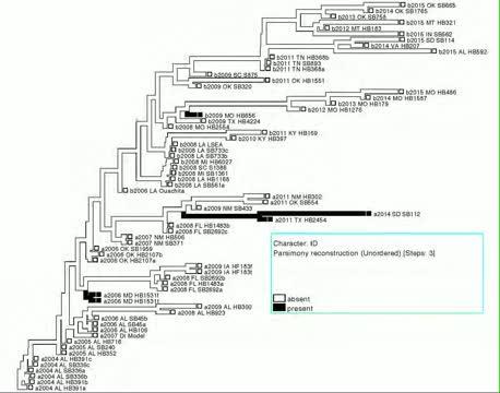 Creationists Are Evolving their Anti-Evolution Tactics