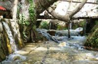 Alak&#305;r Stream