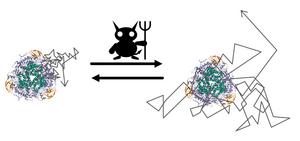Enzymes as Maxwell's Demon
