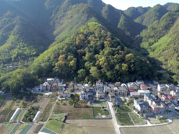 A fengshui forest in southern China