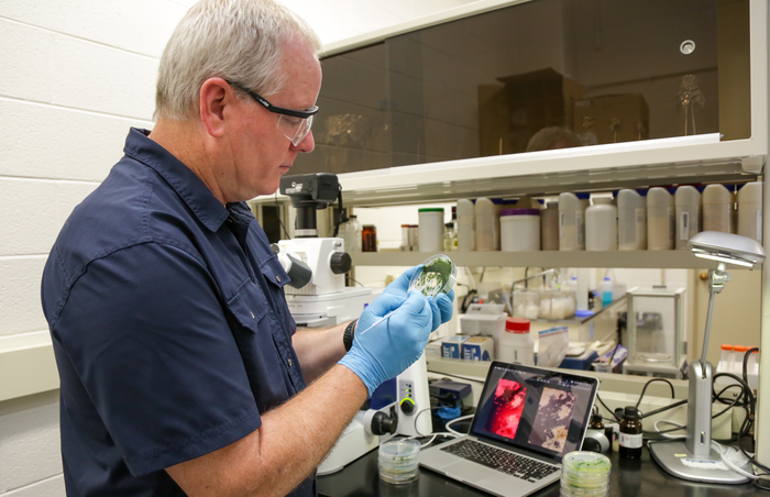 Microbes as symbiotic partners