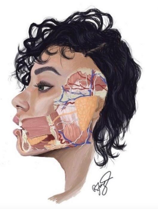AVID project_FACE