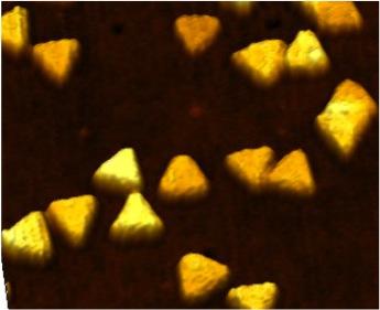 Gold Nanoprisms Form Basis Of IUPUI Mircorna Sensor
