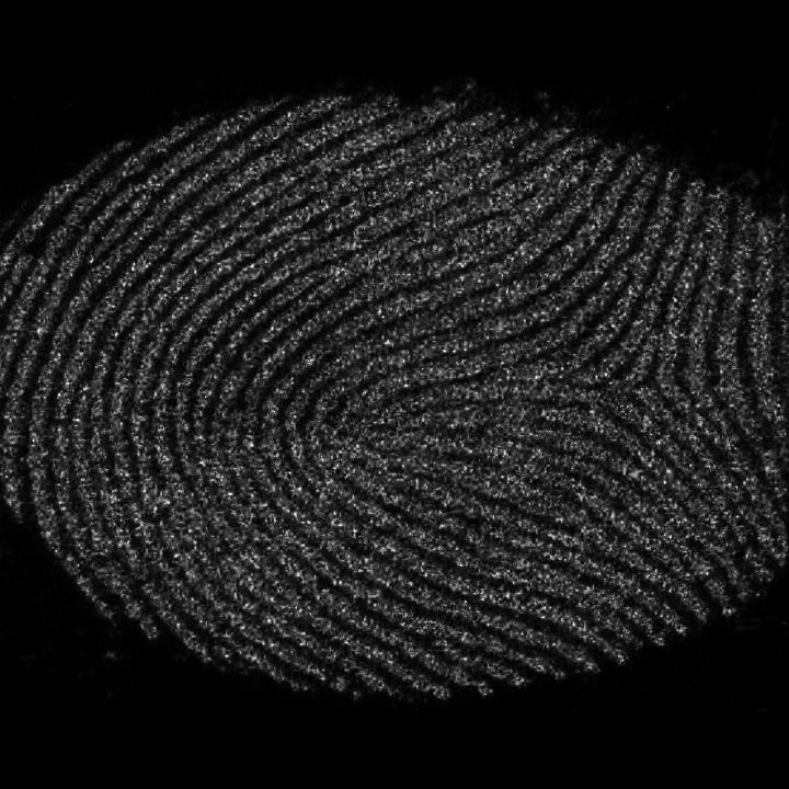 'SAVI' Technique Shines Light on High-resolution, Long-distance Imaging (6 of 7)