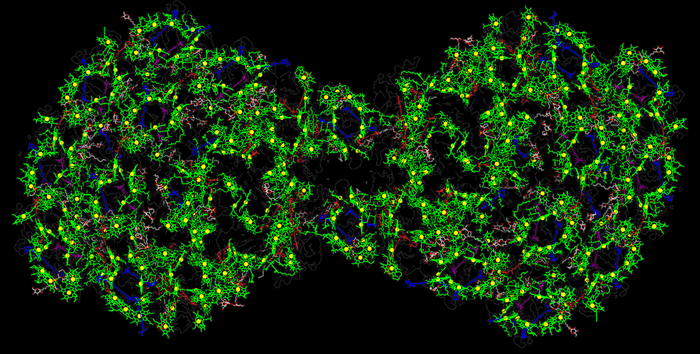 The structure of the PSI dimer features 614 non-protein cofactors