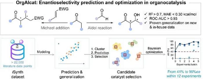 OrgAIcat predicts enantioselectivity in organocatalysis using