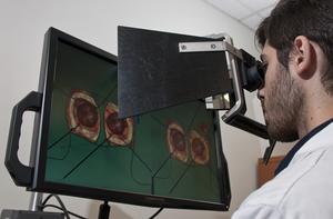 VR simulator of neurosurgery