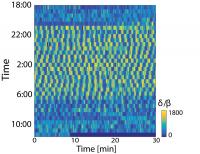 Sleep Oscillations