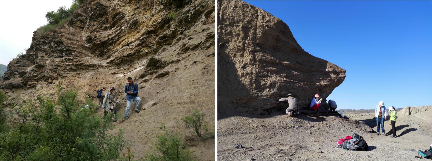 Fieldtrip Investigation