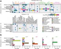 Cell Specificity