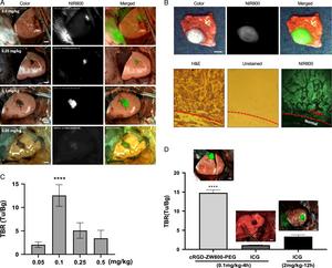 Tumor targeting by cRGD-ZW800-PEG in rabbits with lung tumors.